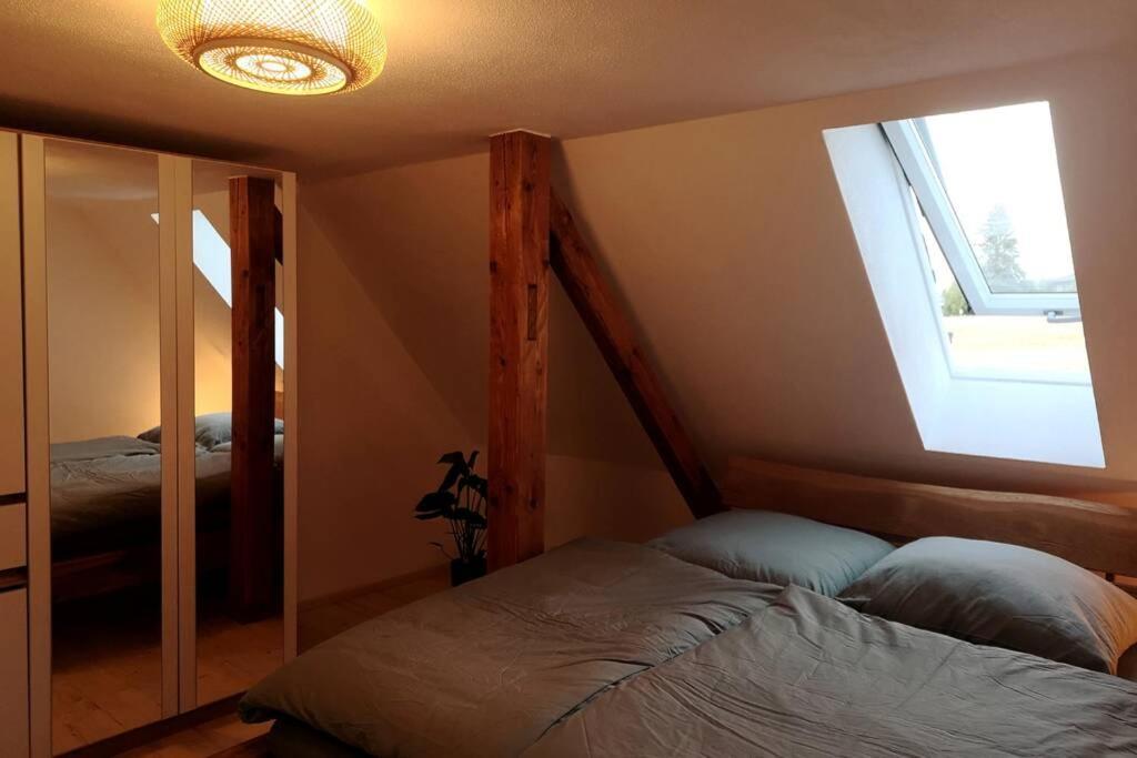 Ruhig Gelegene, Top Moderne Ferienwohnung - Hot Tub Und Sauna Gegen Aufpreis Neuhaus an Der Eger Экстерьер фото