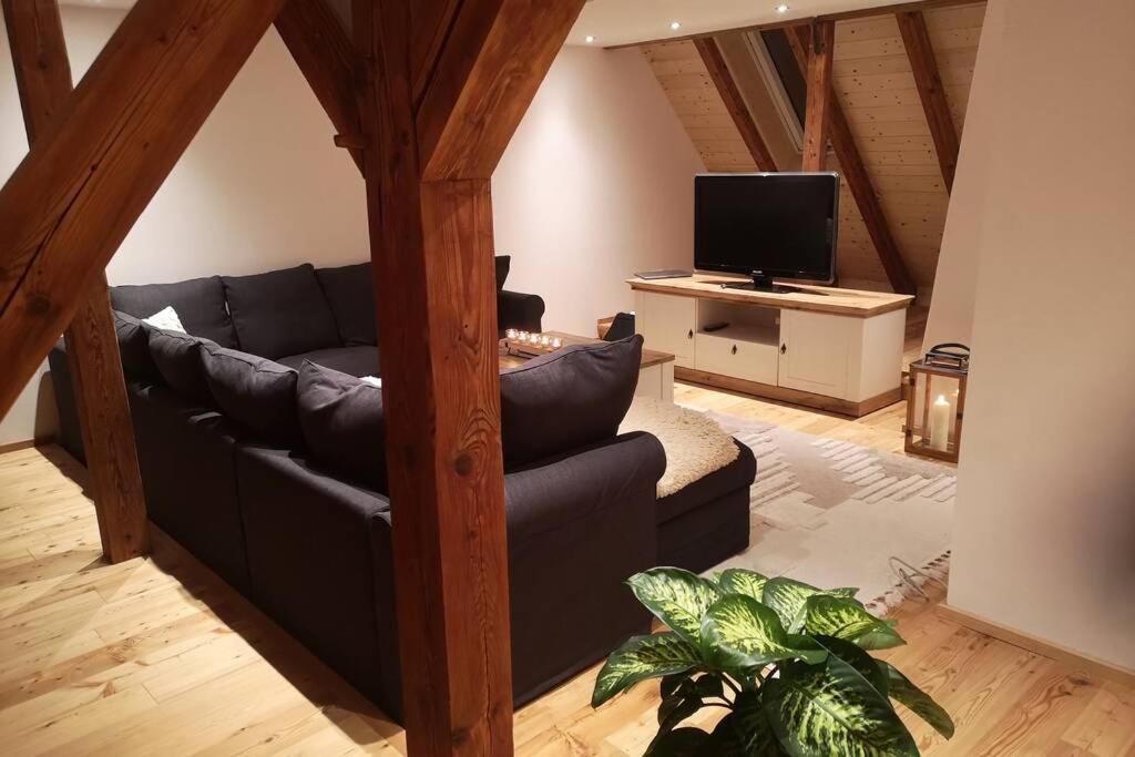 Ruhig Gelegene, Top Moderne Ferienwohnung - Hot Tub Und Sauna Gegen Aufpreis Neuhaus an Der Eger Экстерьер фото