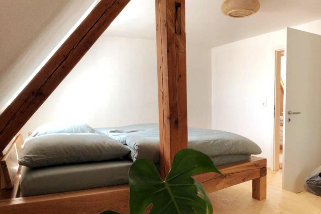 Ruhig Gelegene, Top Moderne Ferienwohnung - Hot Tub Und Sauna Gegen Aufpreis Neuhaus an Der Eger Экстерьер фото
