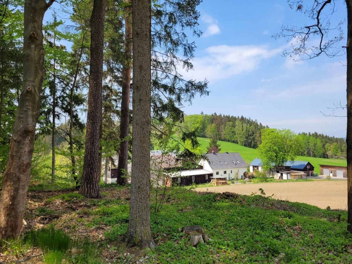 Ruhig Gelegene, Top Moderne Ferienwohnung - Hot Tub Und Sauna Gegen Aufpreis Neuhaus an Der Eger Экстерьер фото