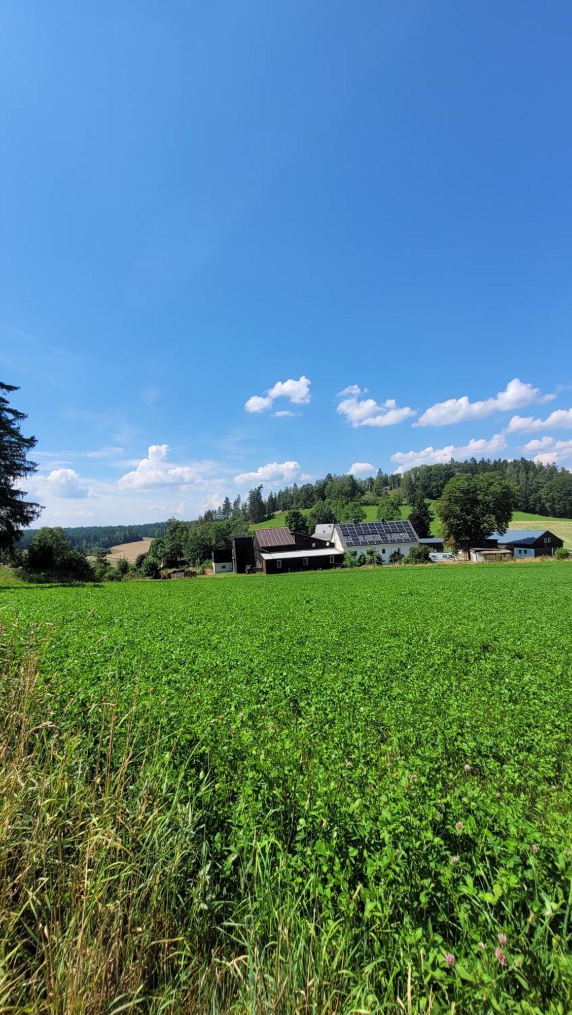 Ruhig Gelegene, Top Moderne Ferienwohnung - Hot Tub Und Sauna Gegen Aufpreis Neuhaus an Der Eger Экстерьер фото