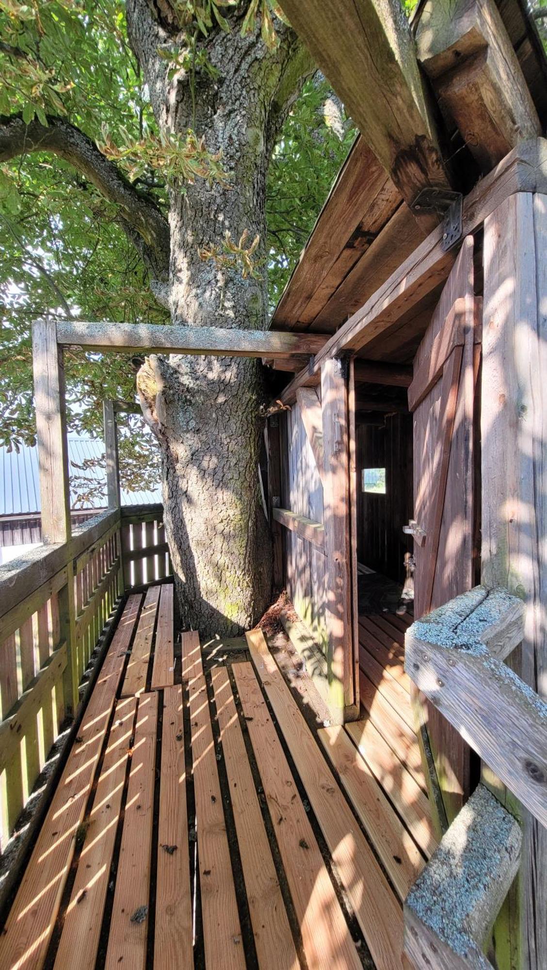 Ruhig Gelegene, Top Moderne Ferienwohnung - Hot Tub Und Sauna Gegen Aufpreis Neuhaus an Der Eger Экстерьер фото